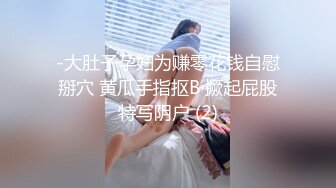 -大肚子孕妇为赚零花钱自慰掰穴 黄瓜手指抠B 撅起屁股特写阴户 (2)