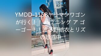 YMDD-115Bヤリマンワゴンが行く！！ ハプニング ア ゴーゴー！！波多野結衣とリズの珍道中