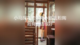 小马探花约漂亮小姐姐,粉胸翘臀口活很好