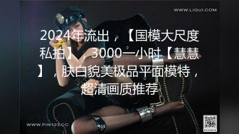 2024年流出，【国模大尺度私拍】，3000一小时【慧慧】，肤白貌美极品平面模特，超清画质推荐