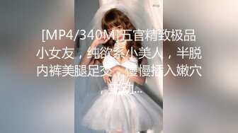 [MP4/340M]五官精致极品小女友，纯欲系小美人，半脱内裤美腿足交，慢慢插入嫩穴，主动...