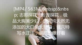 [MP4/ 563M]&nbsp;&nbsp; 志哥探花，新晋探花，极品大胸美少妇，这对纯天然无添加的大白兔太赞了，骚穴特写水汪汪，暴插劲爆好看