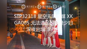 STP32318 星空无限传媒 XKGA005 无法满足的欲望少妇深夜出墙 李丹彤