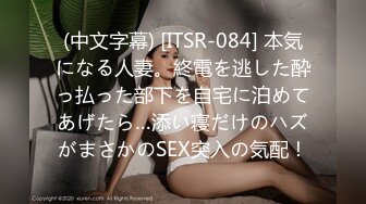 (中文字幕) [ITSR-084] 本気になる人妻。終電を逃した酔っ払った部下を自宅に泊めてあげたら…添い寝だけのハズがまさかのSEX突入の気配！