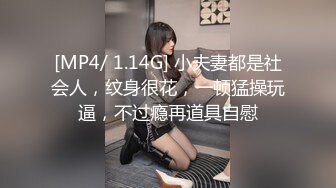 [MP4/ 1.14G] 小夫妻都是社会人，纹身很花，一顿猛操玩逼，不过瘾再道具自慰