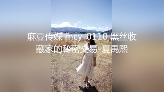 麻豆传媒 mcy-0110 黑丝收藏家的秘密交易-夏禹熙