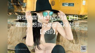 麻豆传媒 MKYNC010 夏日夜总会 怒操小姨子泄闷 韩棠【水印】