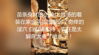 职业色影师和嫩模潜规则-女仆装扮