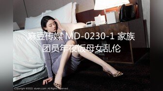 麻豆传媒 MD-0230-1 家族团员年夜饭母女乱伦