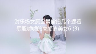 游乐场女厕全景偷拍几个撅着屁股嘘嘘的高颜值美女6 (3)