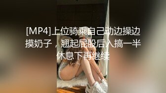 [MP4]上位骑乘自己动边操边摸奶子，翘起屁股后入搞一半休息下再继续