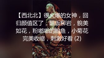 【西北北】很火爆的女神，回归颜值区了，翻版柳岩，貌美如花，粉嘟嘟的鲍鱼，小菊花完美收缩，刺激好看 (2)