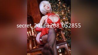 secret_20161208_052855