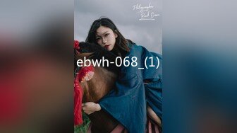 ebwh-068_(1)