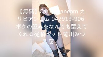 【無碼】Caribbeancom カリビアンコム 042919-906 ボクの望みをなんでも葉えてくれる従順ペット 菊川みつ葉