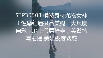 STP30503 模特身材尤物女神！性感红唇极品美腿！大尺度自慰，地上假屌骑坐，美臀特写摇摆 美足极度诱惑