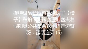 推特极品长腿苗条烧婊子【橙子】私拍，丝袜塞逼肛塞夹着假阳具公共场合露出边走边紫薇，骚话连天 (5)