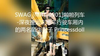 SWAG [MRT-0001]啪啪列车-深夜捷运末班车行驶车厢内的两名陌生男子 Princessdolly