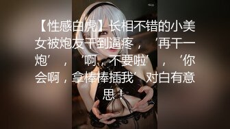 优雅气质尤物御姐女神✅性感人妻老公出差太多天，发情的少妇像母狗一样找男人操逼