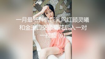 继续调教老婆2