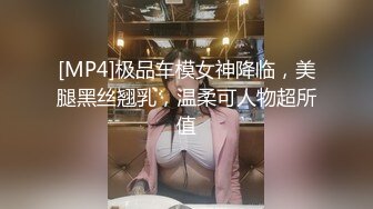 [MP4]极品车模女神降临，美腿黑丝翘乳，温柔可人物超所值