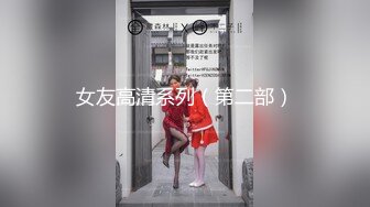 女友高清系列（第二部）