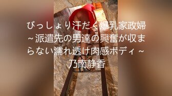 びっしょり汗だく爆乳家政婦～派遣先の男達の興奮が収まらない濡れ透け肉感ボディ～ 乃南静香