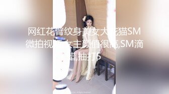 网红花臂纹身美女大花猫SM微拍视频,女主颜值很高,SM滴蜡,抽打5