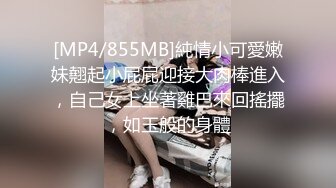 [MP4]TZ124 麻豆传媒 兔子先生监制 职场法则 水原圣子 VIP0600