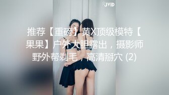 性感的丝袜少妇